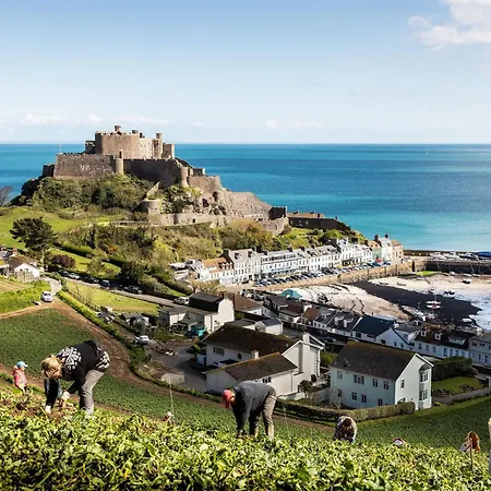 The Moorings & Restaurant ホテル Gorey